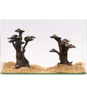 NatureHolic Stone Bonsai Shizukana, 2 Bäume Jetzt Bestellen